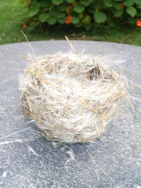 Homemade Lifelike Looks so REAL All Natural Birds Nest